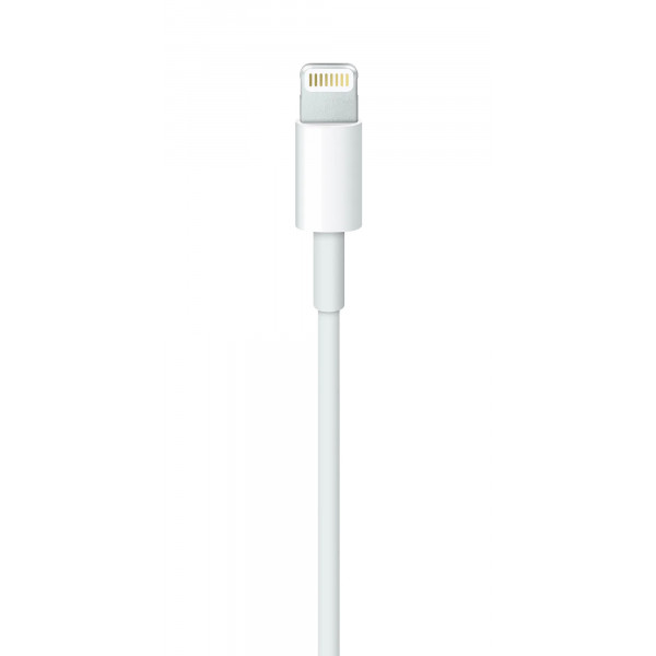 Кабель Apple Lightning to USB Cable 1m (MXLY2ZM/A)