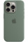 Чохол Silicone Case MagSafe та SplashScreen для iPhone 15 Pro Max Cypress