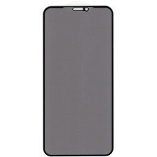 Захисне скло Privacy Сlassic для iPhone 16 Pro