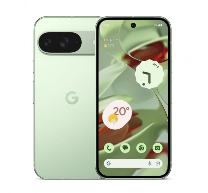 Google Pixel 9 12/256GB Wintergreen