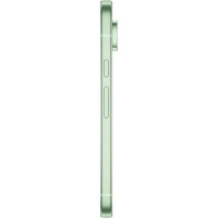 Google Pixel 9 12/256GB Wintergreen