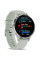 Смарт-часы Garmin Venu 3S Silver Stainless Steel Bezel with Sage Gray Case and Silicone Band (010-02785-01/51)