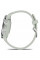 Смарт-часы Garmin Venu 3S Silver Stainless Steel Bezel with Sage Gray Case and Silicone Band (010-02785-01/51)