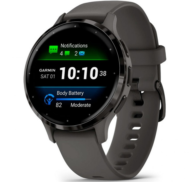 Смарт-часы Garmin Venu 3S Slate Stainless Steel Bezel with Pebble Gray Case and Silicone Band (010-02785-00/50)