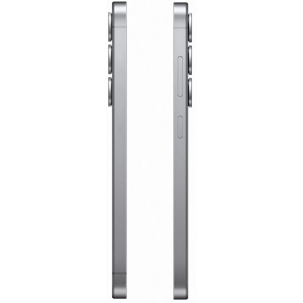 Samsung Galaxy S25+ 12/256GB Silver Shadow (SM-S936BZSD) Global